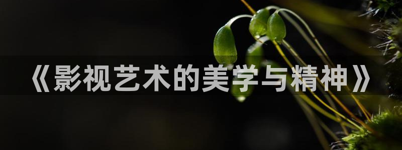 《影视艺术的美学与精神》