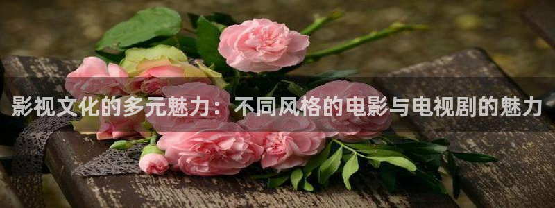 影视文化的多元魅力：不同风格的电影与电视剧的魅力
