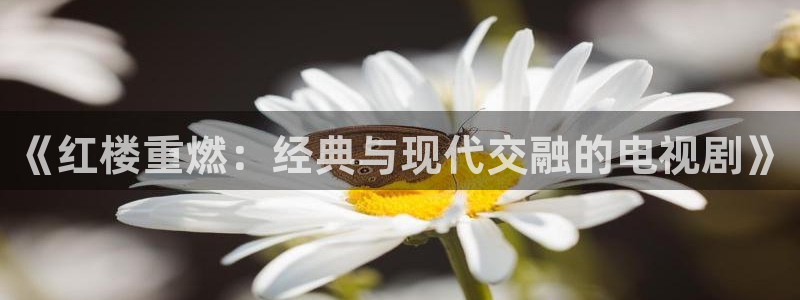 《红楼重燃：经典与现代交融的电视剧》