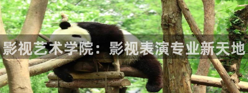 影视艺术学院：影视表演专业新天地