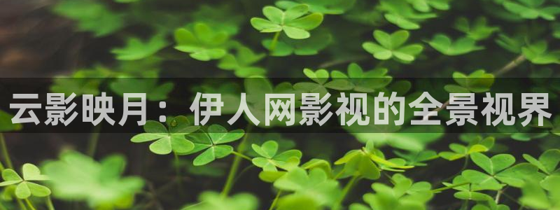 云影映月：伊人网影视的全景视界