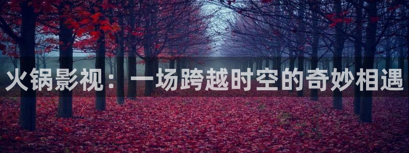 火锅影视：一场跨越时空的奇妙相遇