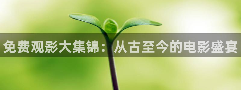 免费观影大集锦：从古至今的电影盛宴