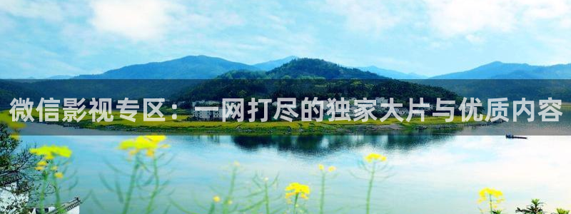 微信影视专区：一网打尽的独家大片与优质内容