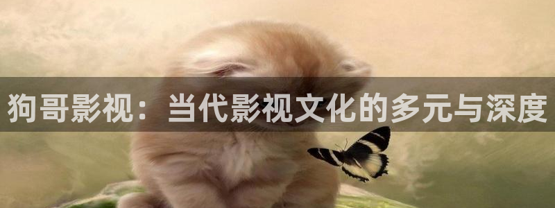 狗哥影视：当代影视文化的多元与深度