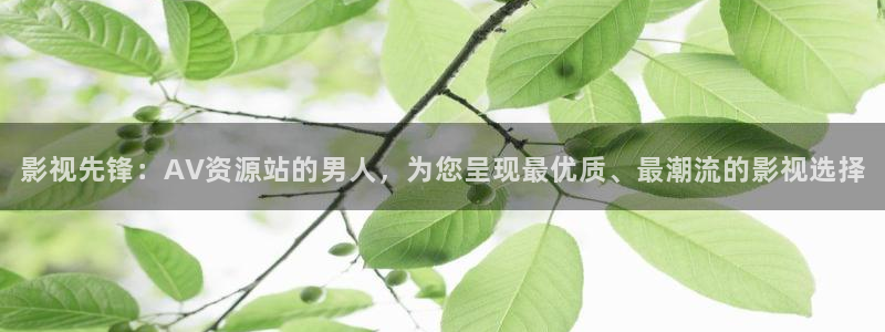 影视先锋：AV资源站的男人，为您呈现最优质、最潮流的影视选择