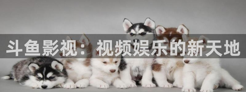 斗鱼影视：视频娱乐的新天地